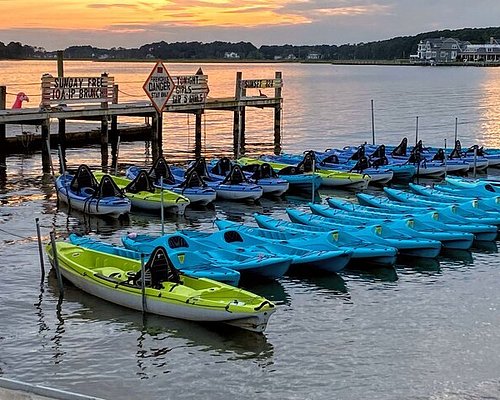 Delaware City Charters and Boat Rentals