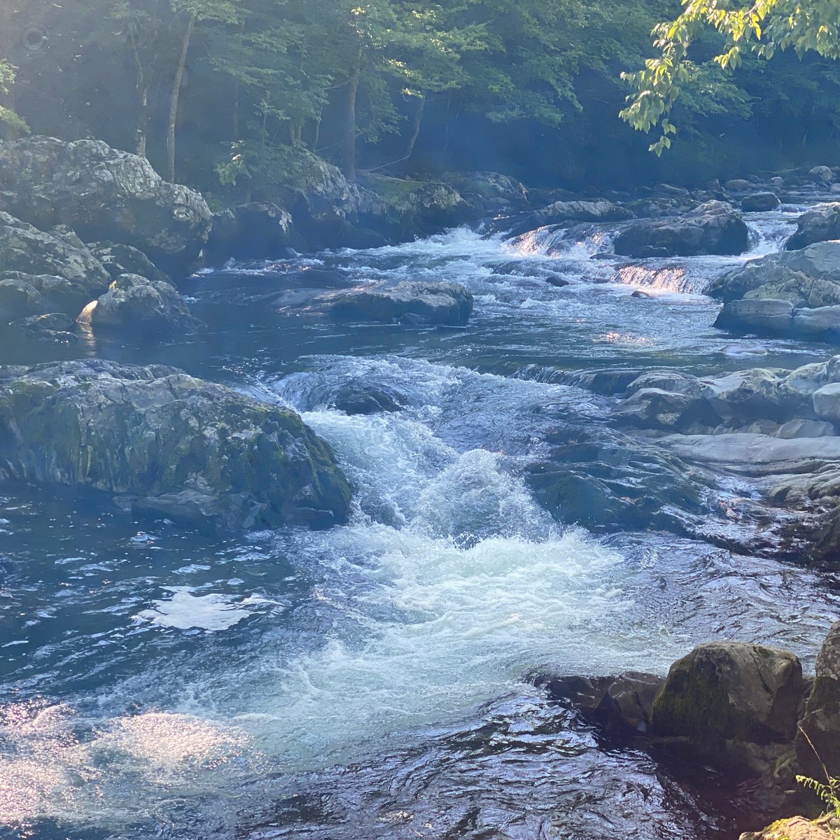 Greenbrier Picnic Area (2025) - All You Need to Know BEFORE You Go (with Reviews)