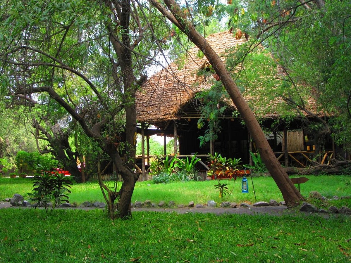 Natron River Camp, hotel in Arusha