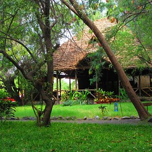 Natron River Camp in Arusha