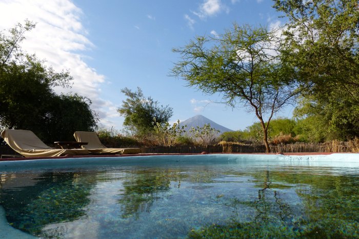 Natron River Camp Pool: Pictures & Reviews - Tripadvisor