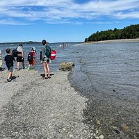 Land Bridge to Bar Island (Bar Harbor) - All You Need to Know BEFORE You Go