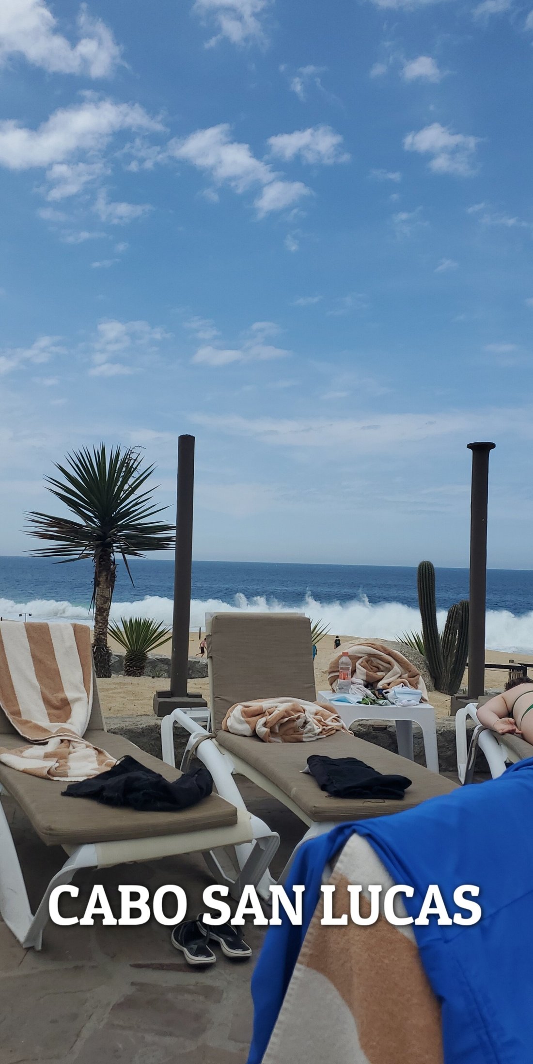 Novaispania Concierge: Pictures & Reviews - Tripadvisor