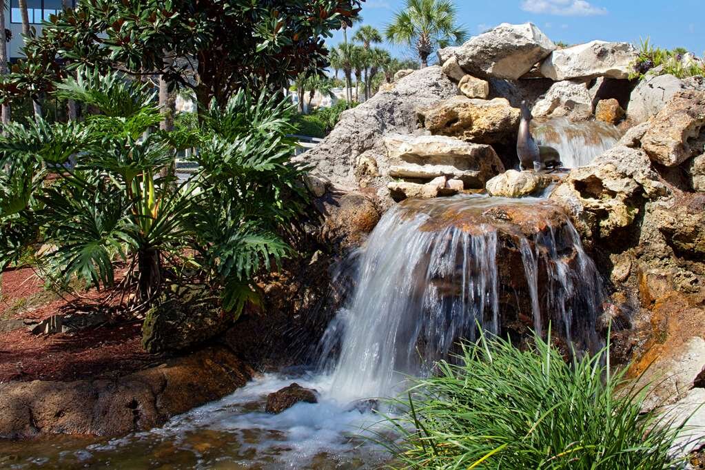 Hotel photo 16 of Hyatt Regency Grand Cypress.