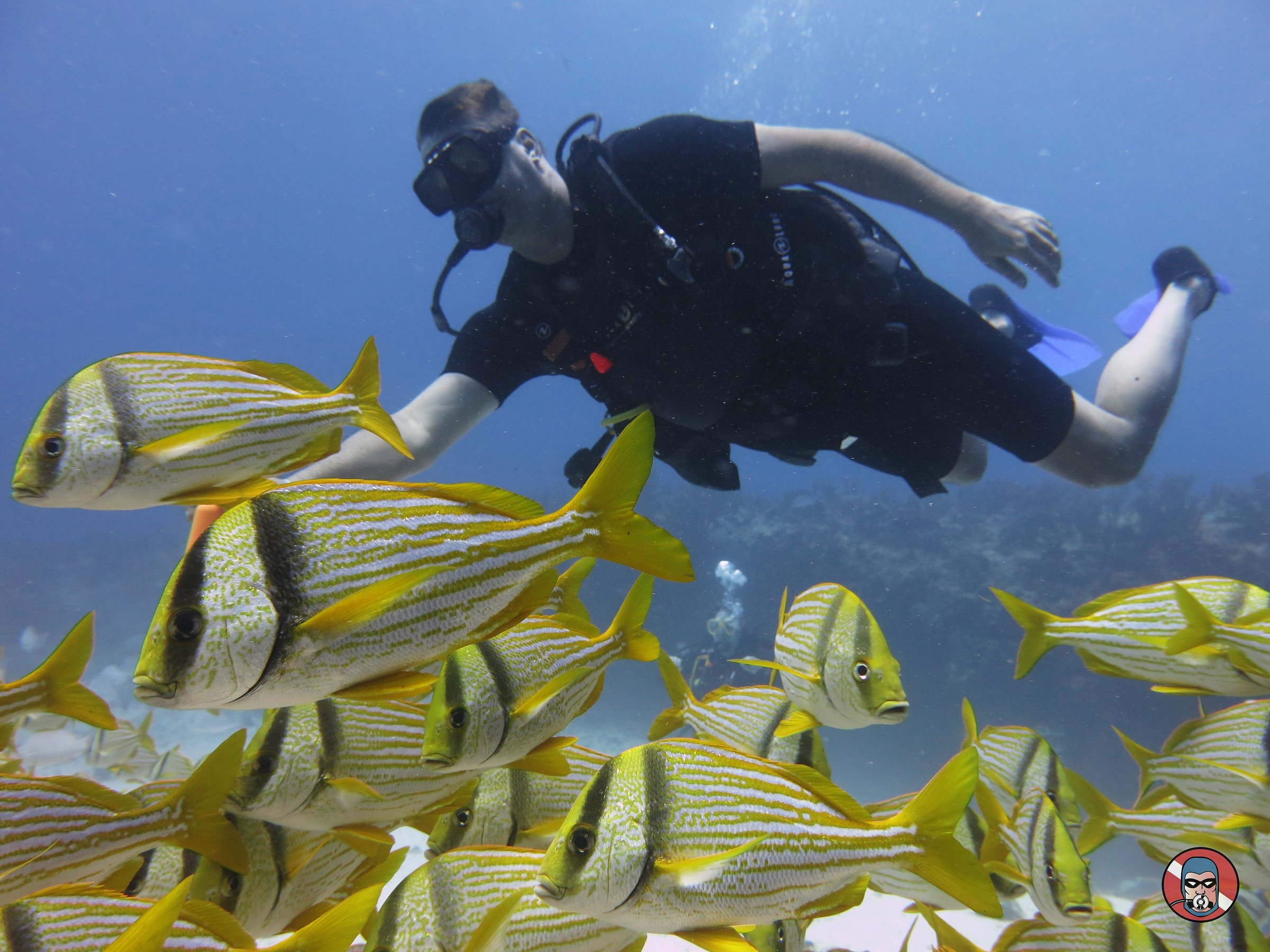 phantom divers playa del carmen