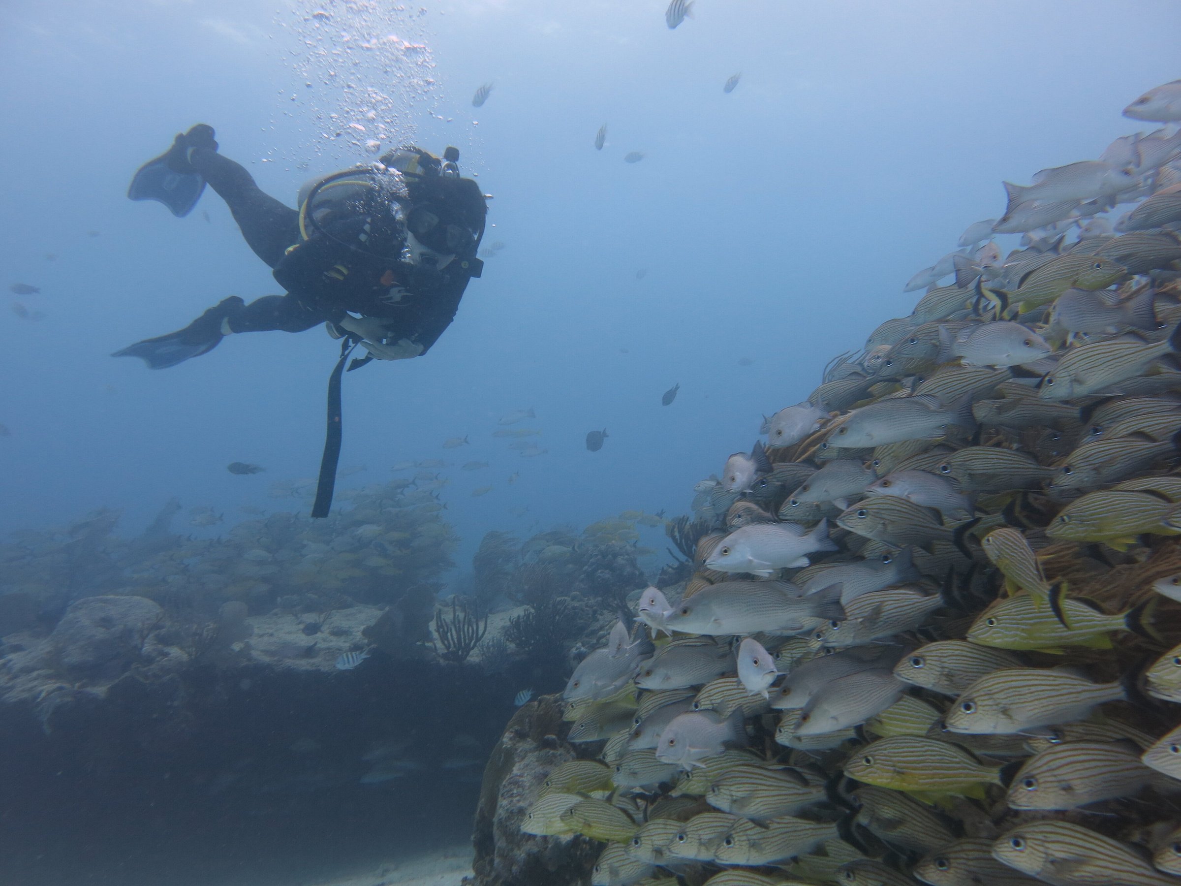 phantom divers playa del carmen