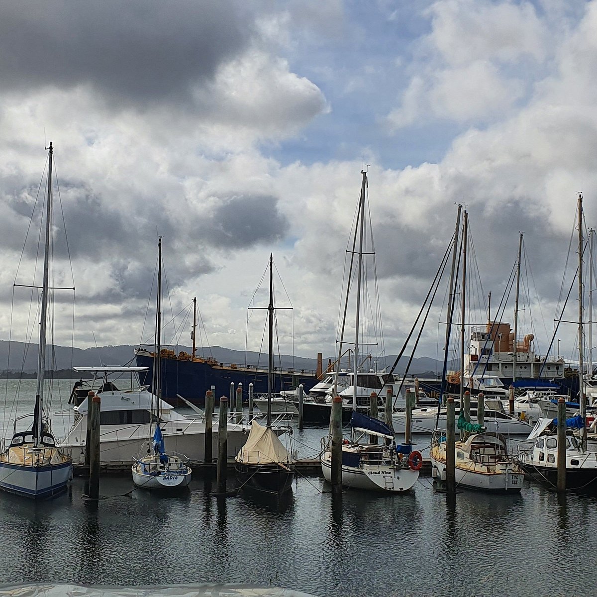 beauty point yacht club tasmania