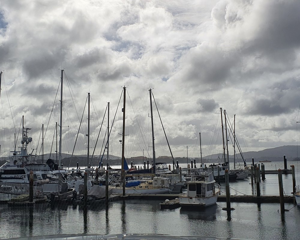 beauty point yacht club tasmania