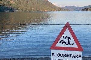 Reisende