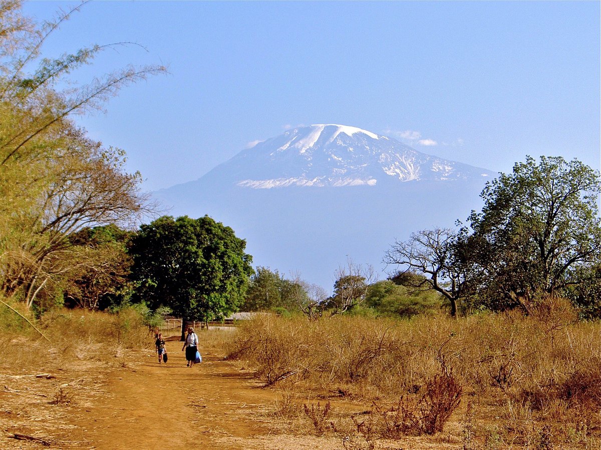 kilimanjaro tanzanite safari