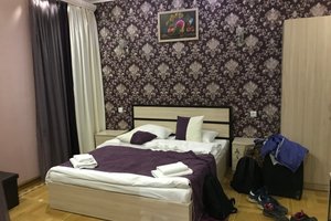 مكان الإقامة المقترح: Zanger Hotel Image 2