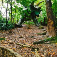 dinosaur park ilfracombe