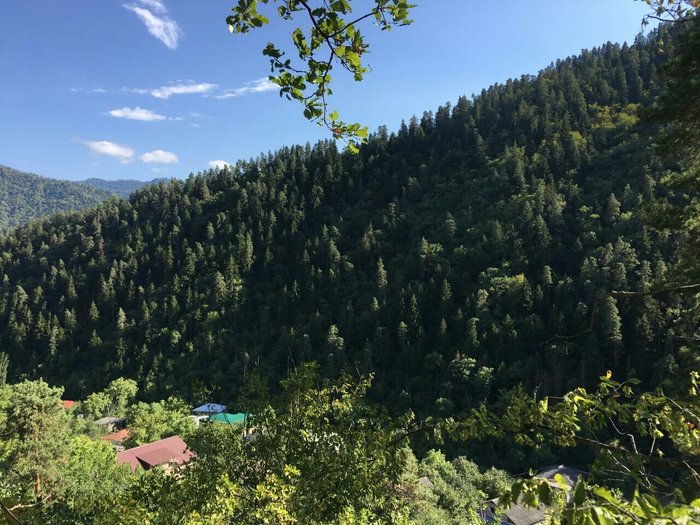 borjomi likani hotel 5*