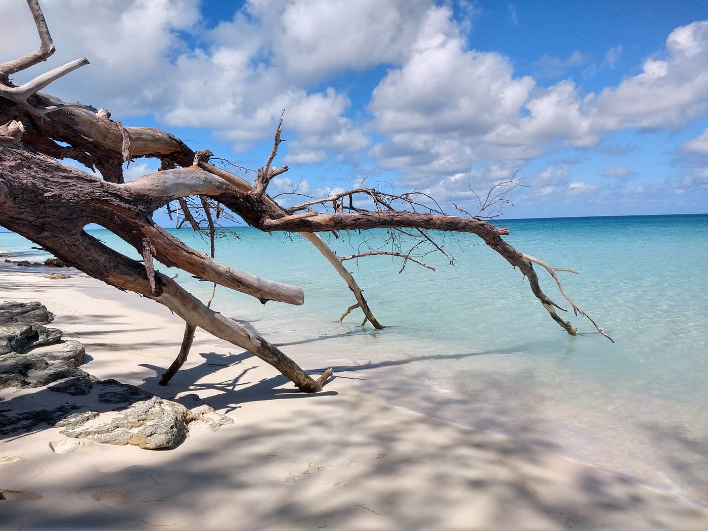 WILDQUEST - Updated 2024 Specialty Resort Reviews (Bimini, Bahamas)