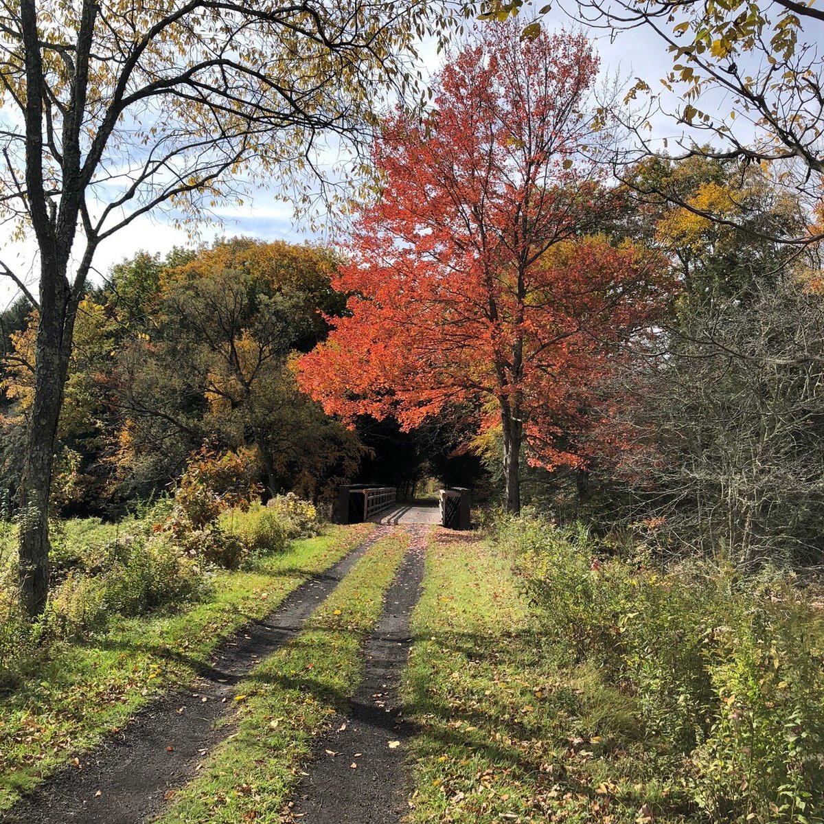 Scenic Tree Lined Country Road In The Catskill Mountains Of