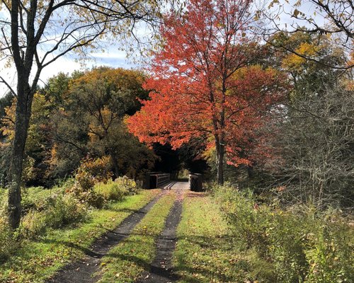 10 Best Hikes and Trails in Catskill Park