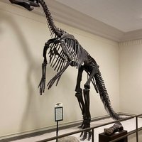 Museum of Geology (Rapid City) - All You Need to Know BEFORE You Go