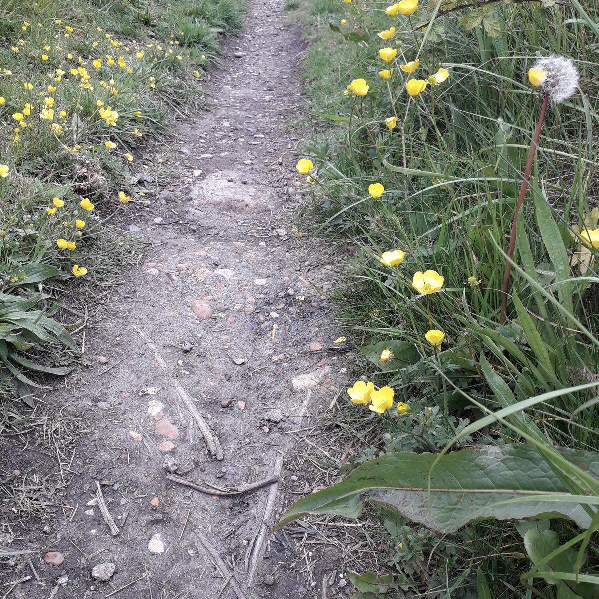 Tide Mills (Lewes) Aktuelle 2022 Lohnt es sich? (Mit fotos)