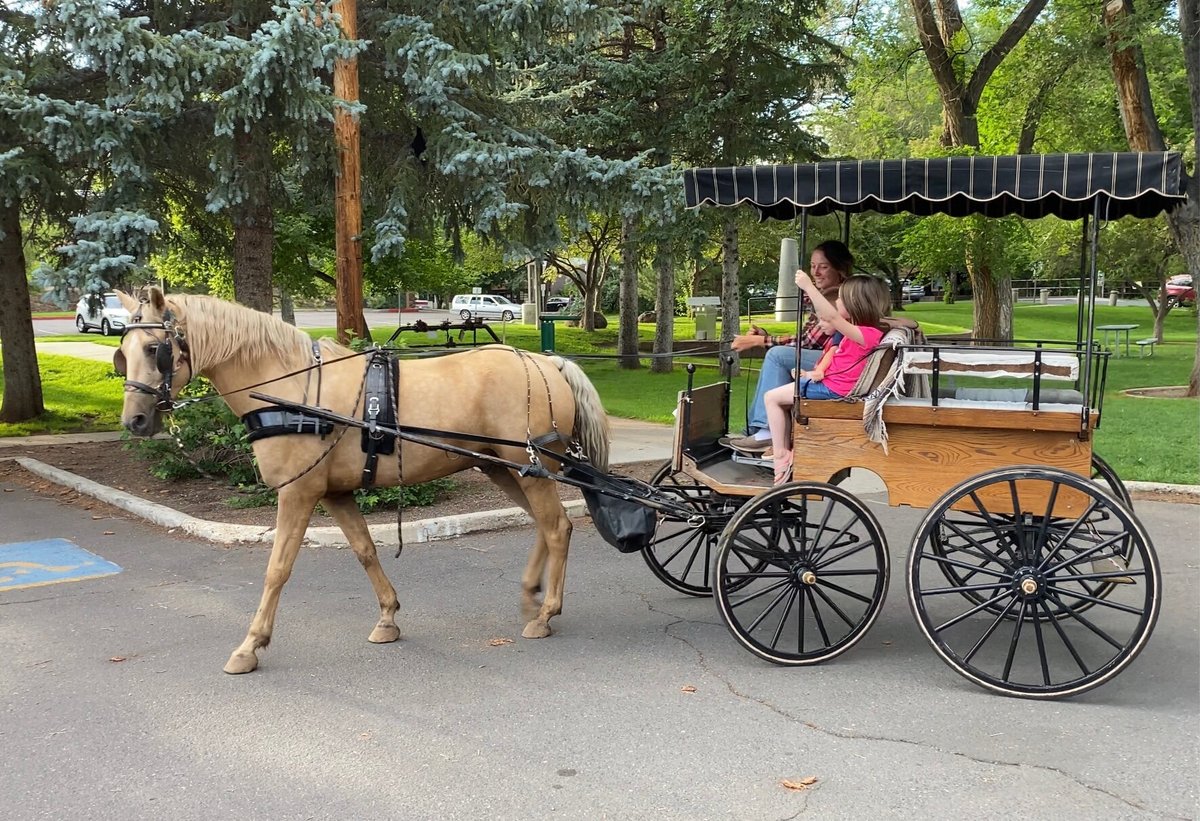 Merry-Go-Round Carriage Rides - All You Need to Know BEFORE You Go (2024)