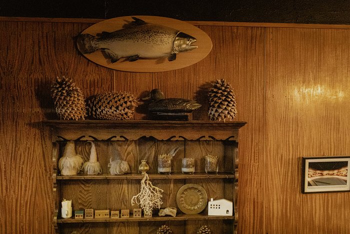 Vintage Fish Display 