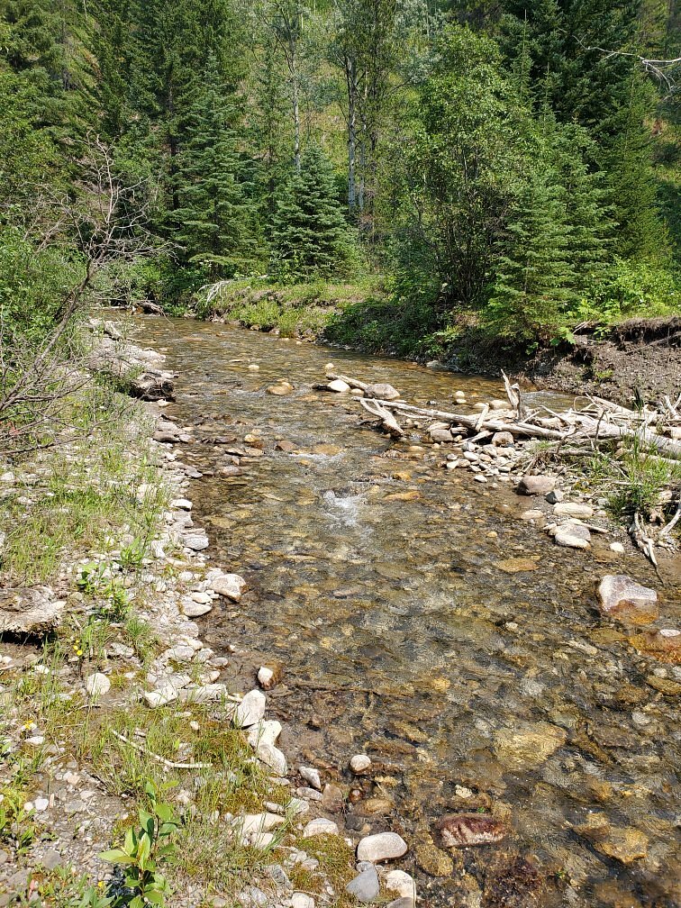 Allison Creek Park