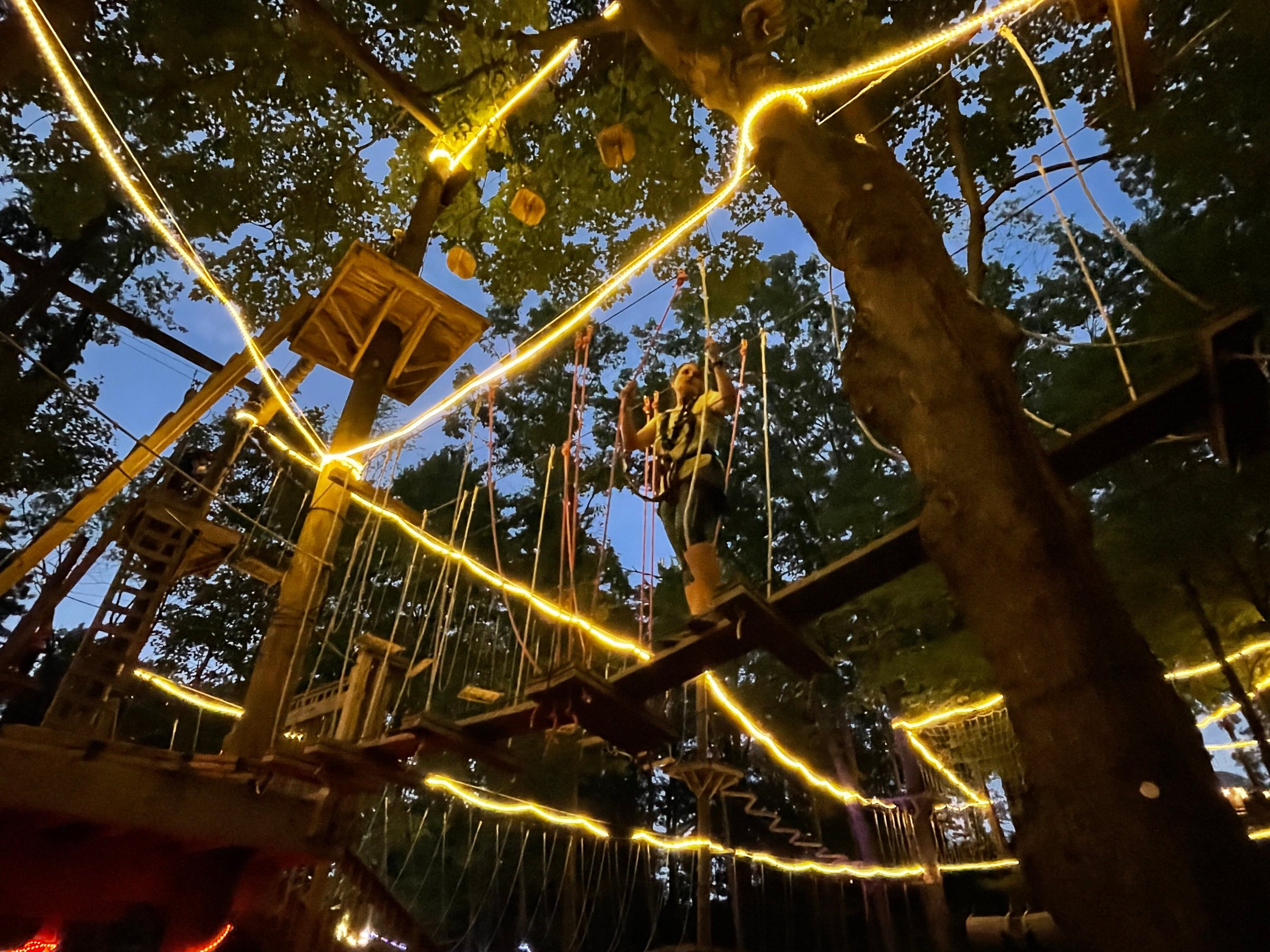 TreeRunner Grand Rapids Adventure Park All You Need to Know BEFORE You Go