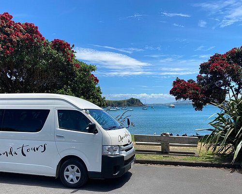 bus tours in new zealand north island