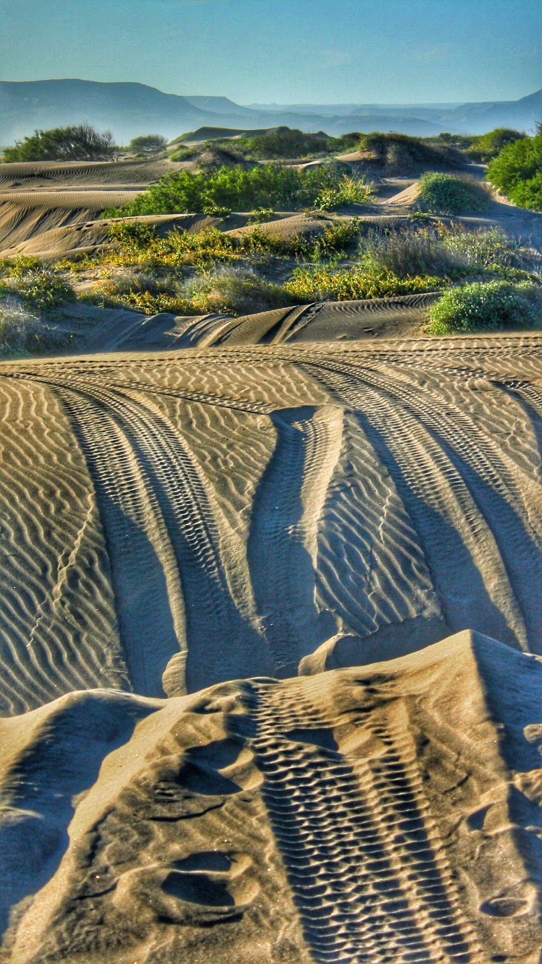 Dunas Del Mogote (ลาปาซ, เม็กซิโก) - รีวิว - Tripadvisor