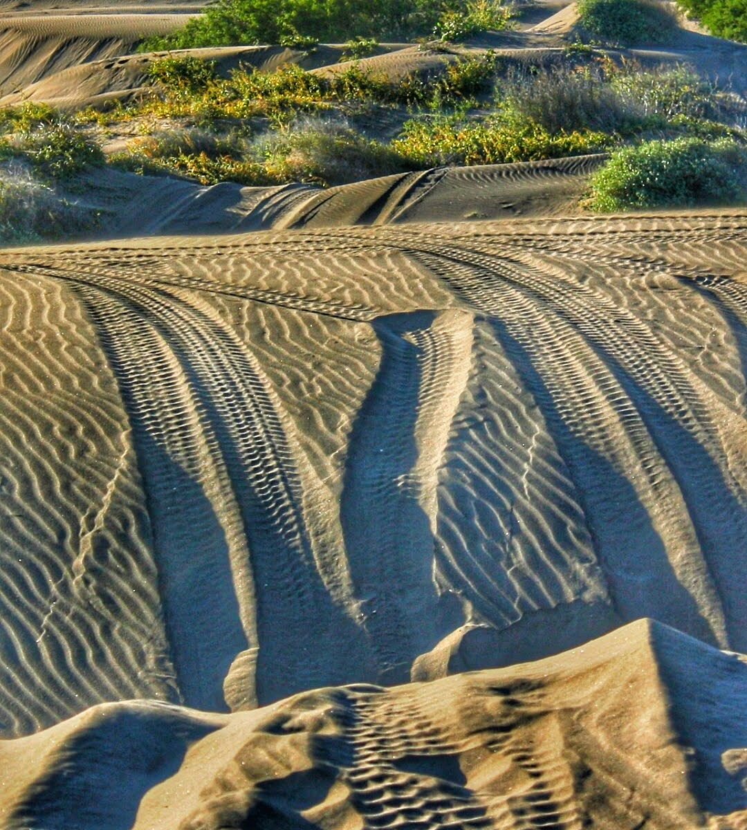 tour dunas la paz