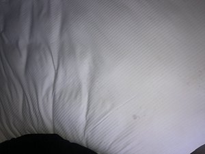 Photo of one of the bed stains 