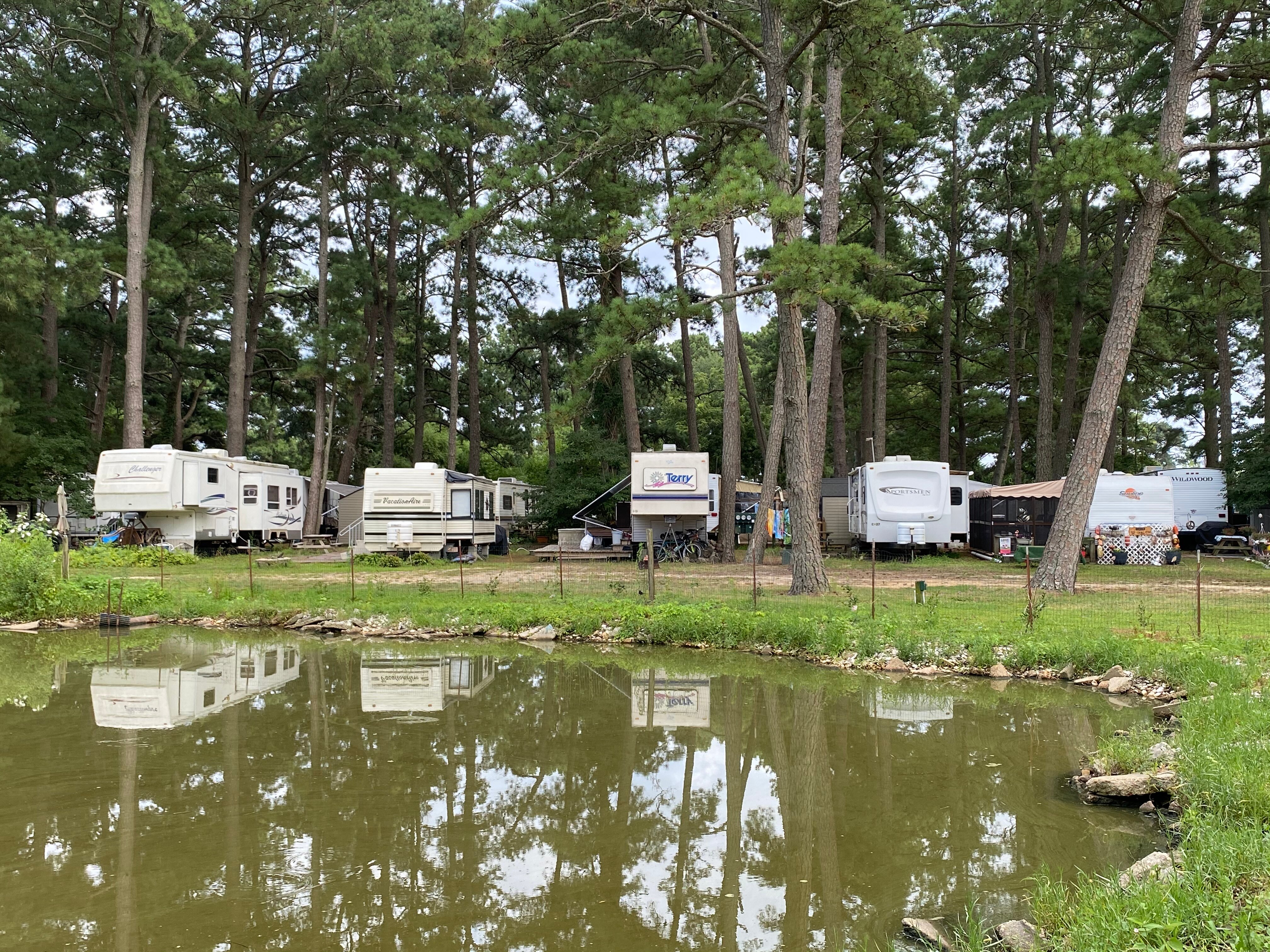 Pine Grove Campground And Waterfowl Park (Île De Chincoteague, Virginie ...