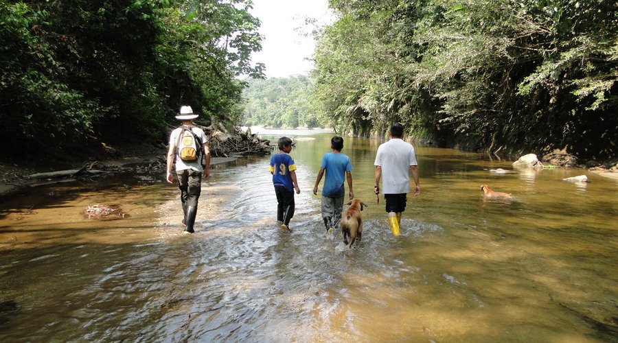 GRAND SELVA LODGE & TOURS 