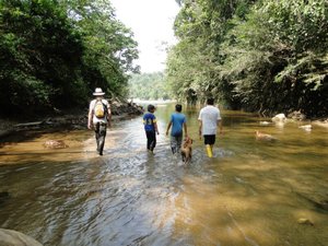 Grand Selva Lodge & Tours in Ahuano