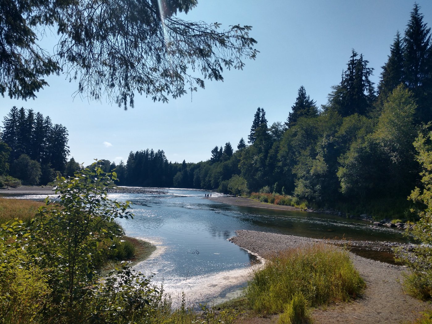 RIVERVIEW RV PARK - Campground Reviews (Forks, WA)