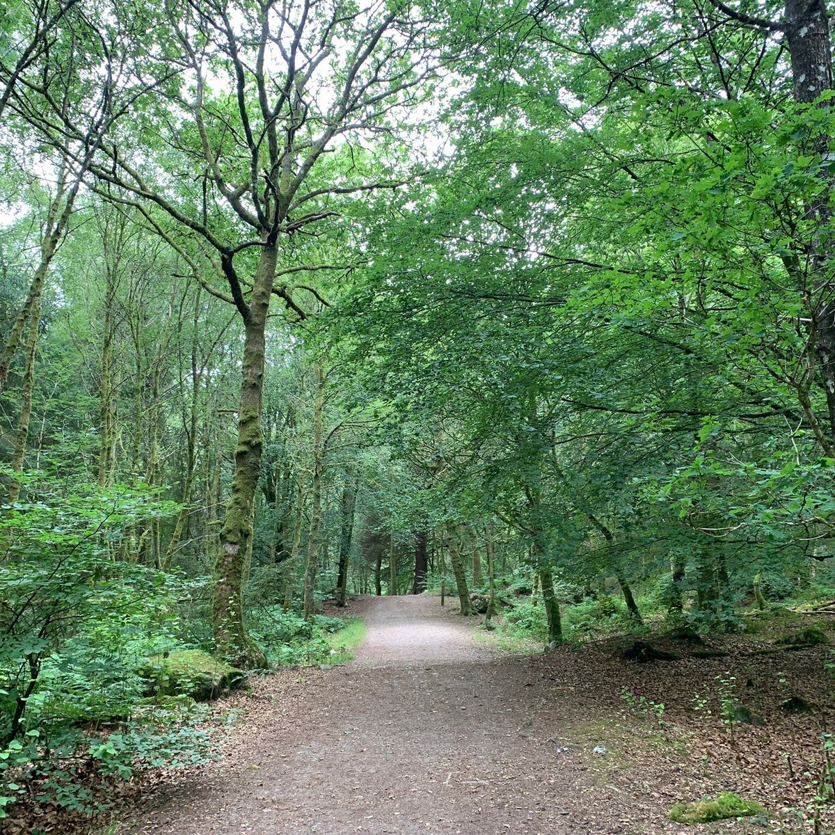 Dalbeattie Forest Town Wood - All You Need to Know BEFORE You Go