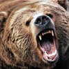 Marriobear