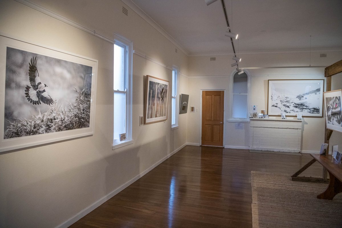 Charles Davis Photography Gallery - All You Need to Know BEFORE You Go ...