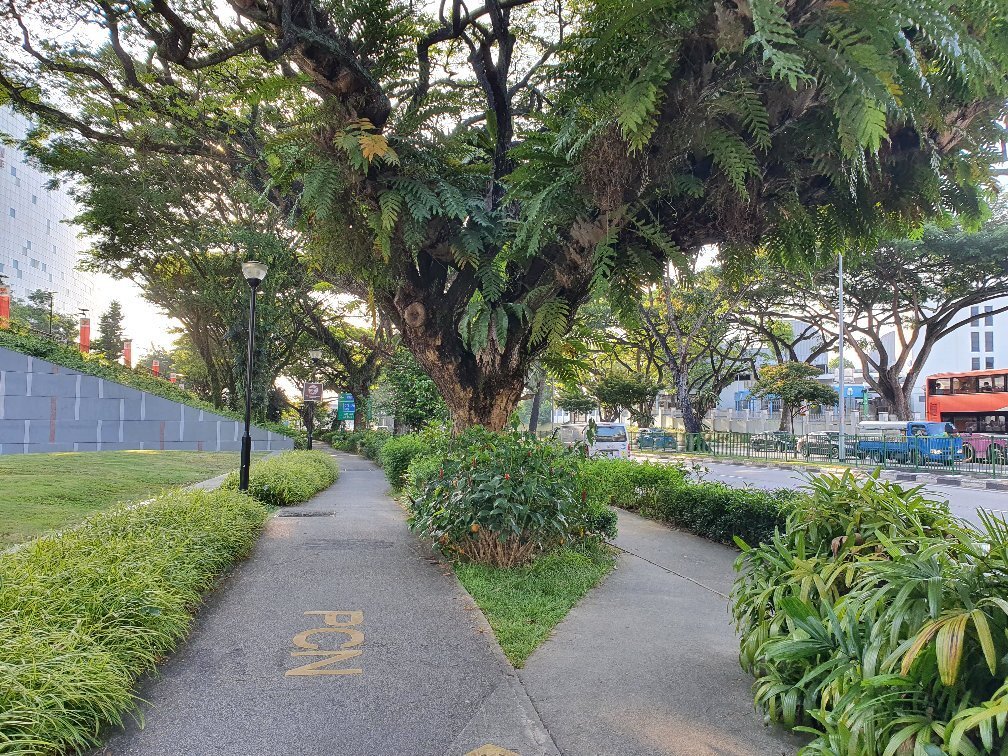 Ang mo kio ave 5 park connector singapore all you need to know