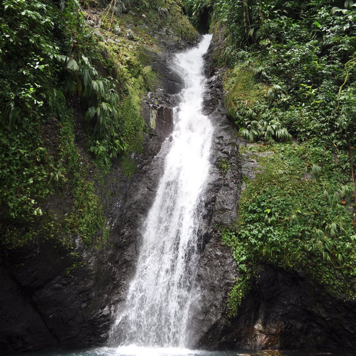 Fontainebleu Falls (Saint John Parish, Grenada): Address - Tripadvisor