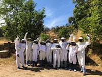 Apibericos Beekeeping