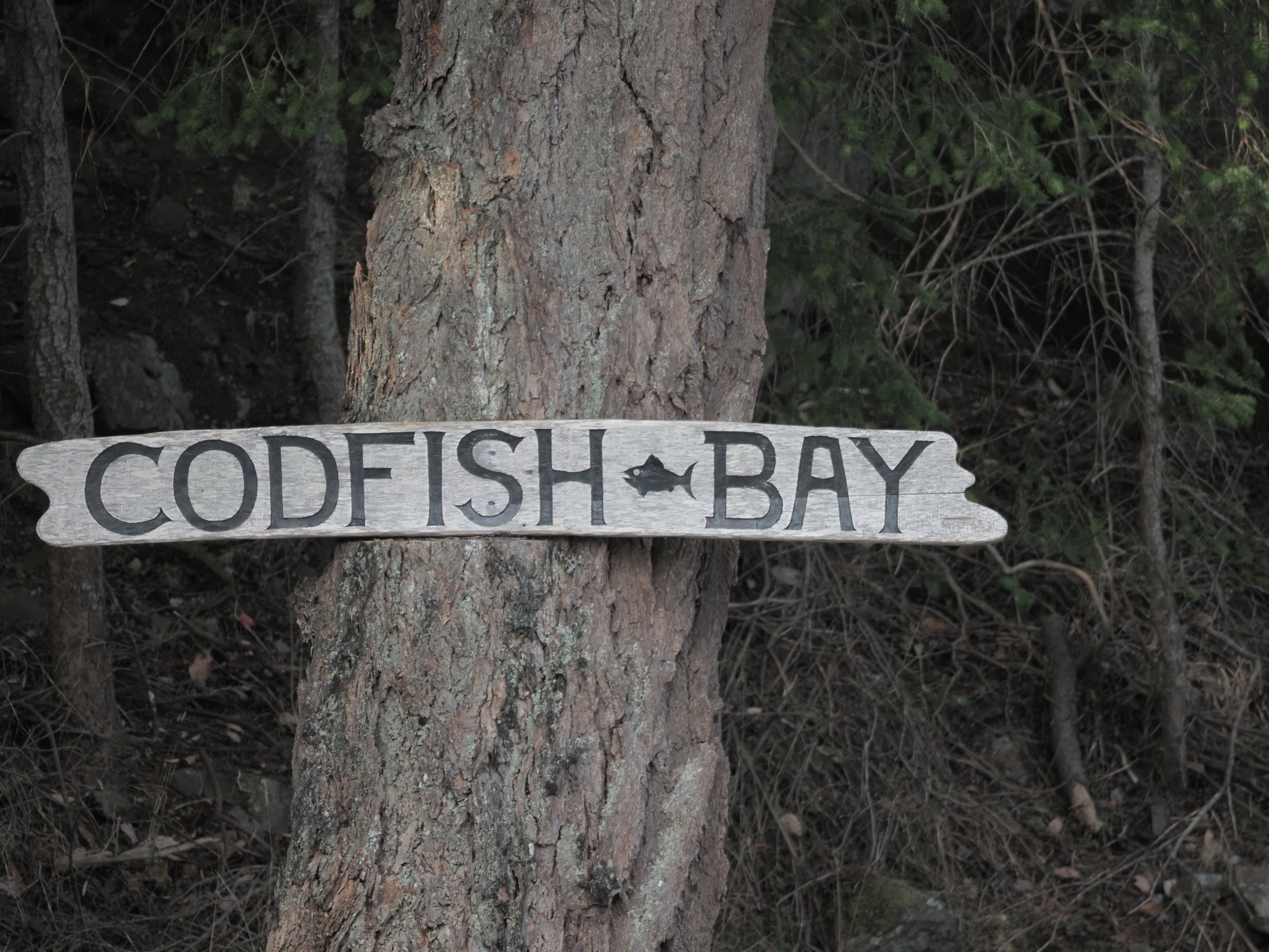 THE BEST Things To Do In Lasqueti Island 2024   This Sign On A Tree Lets 