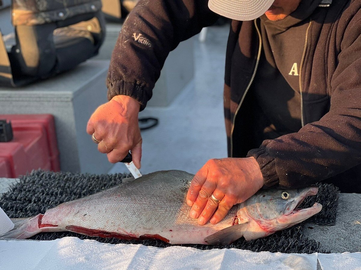 Alaska Fish On Charters (Kenai) All You Need to Know BEFORE You Go