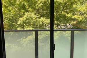 客室 & スイート