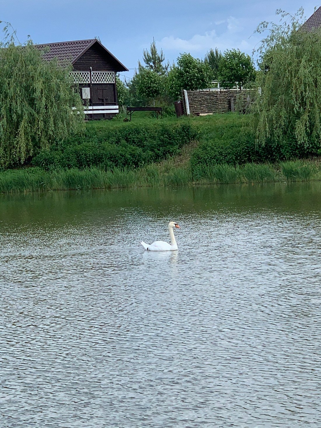 ЗАГОРОДНЫЙ KЛУБ ЖУРАВКА - отзывы и фото - Tripadvisor