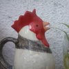 chickenlady97