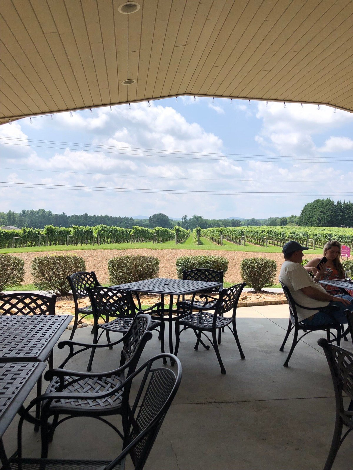 Burntshirt Vineyards (Hendersonville): All You Need to Know