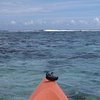 kayakgma