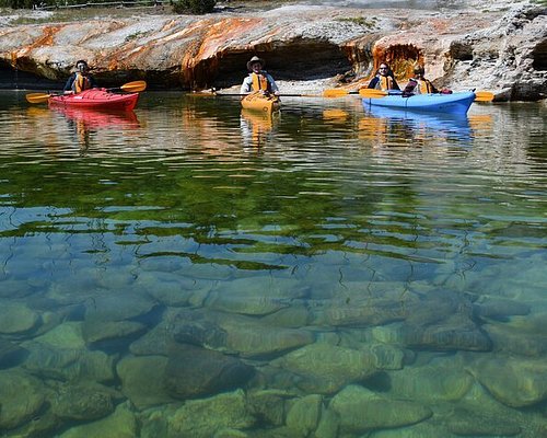 guided tour to yellowstone national park