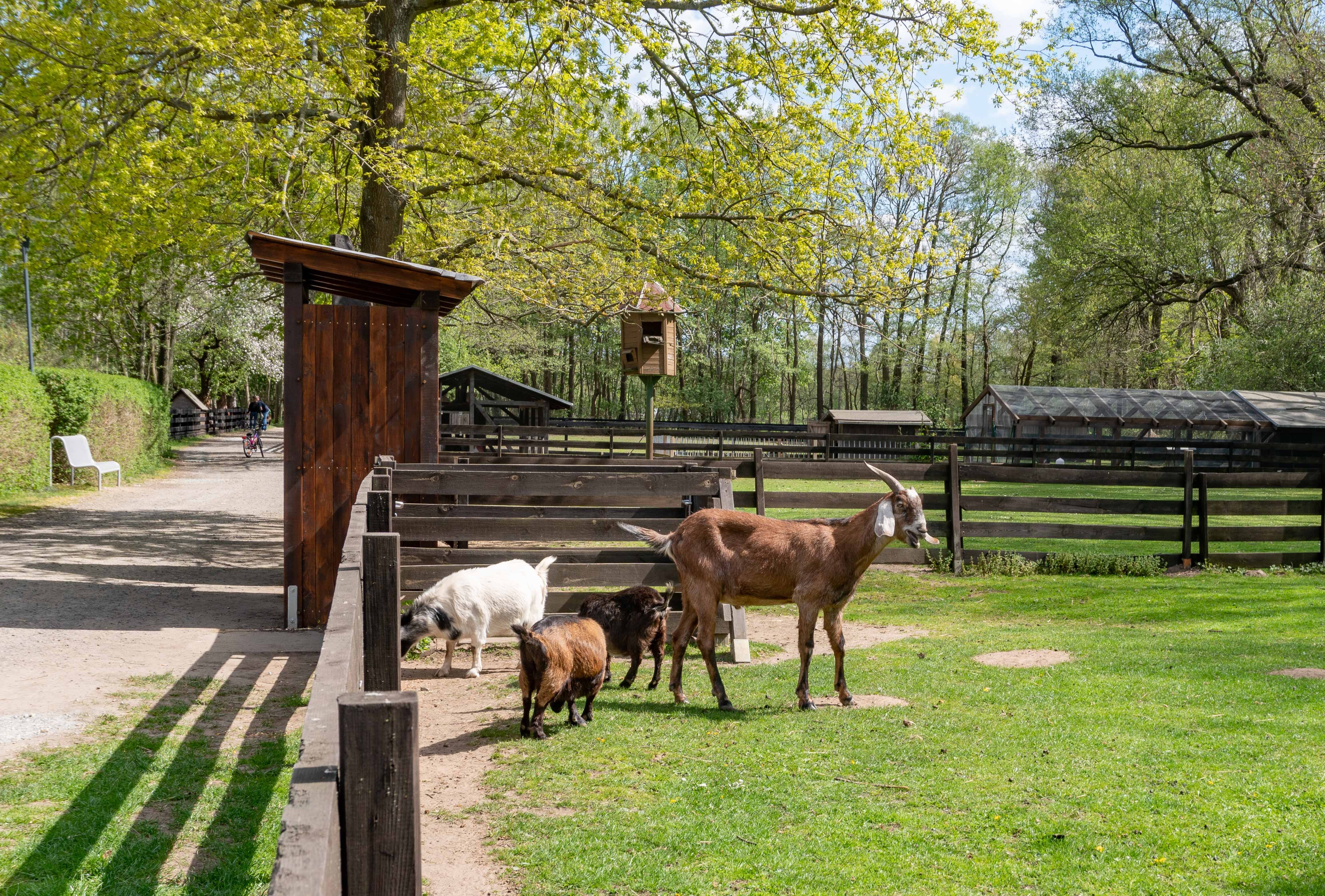 LANDHOTEL BURG IM SPREEWALD (Burg (Spreewald), Alemania)