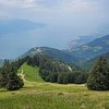 Schneeby03